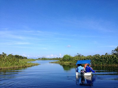 SETIU WETLAND