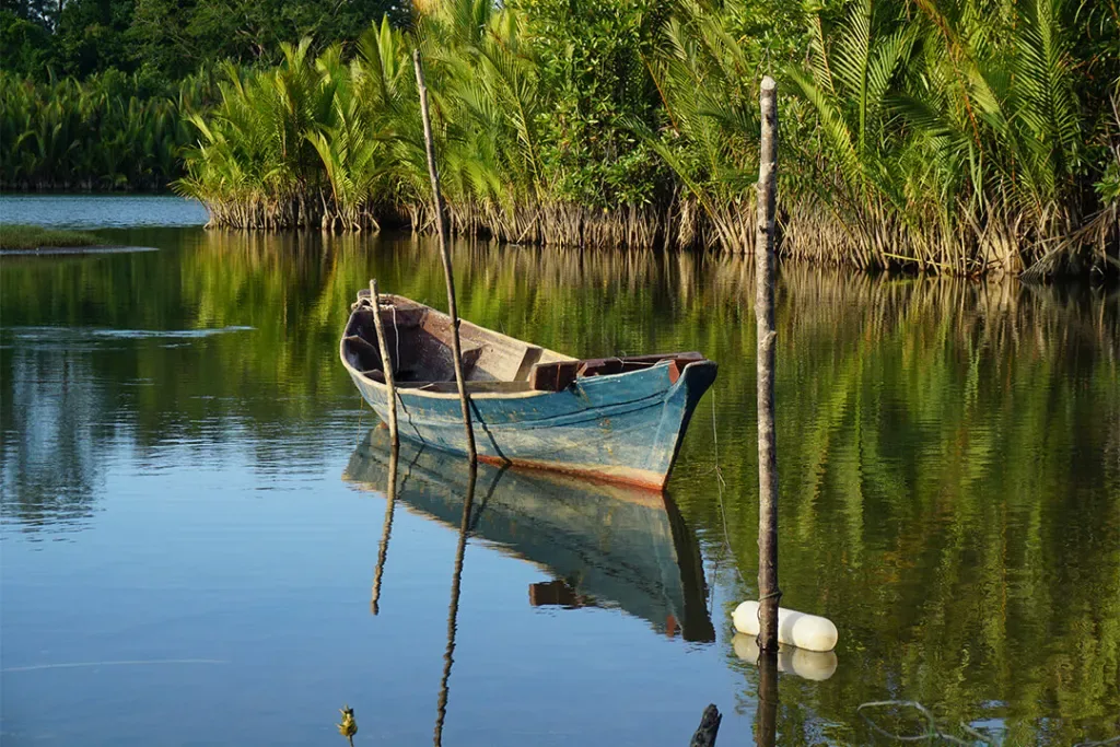 Setiu-Wetlands-01