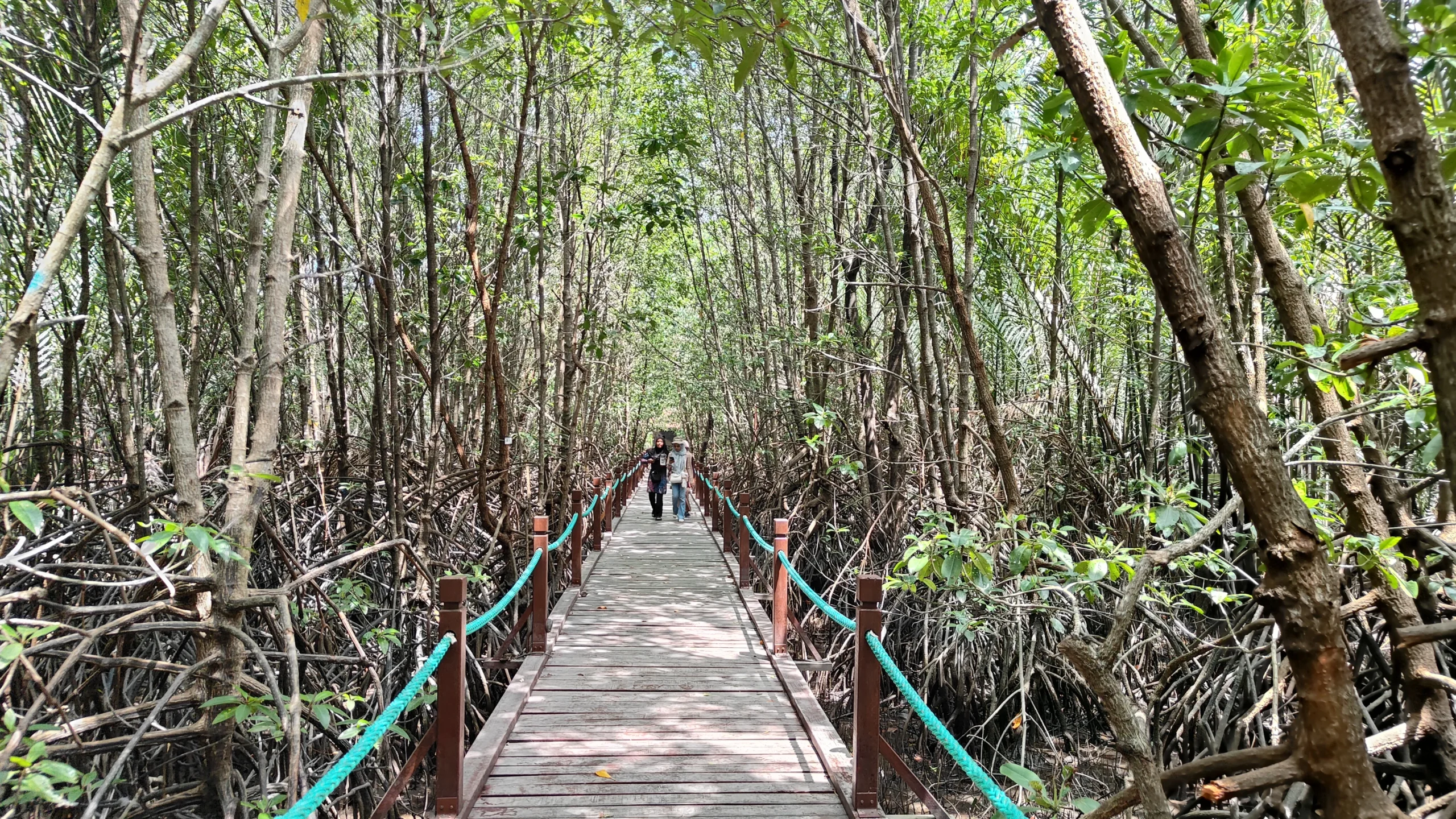 The_boardwalk_of_Setiu_Wetlands_State_Park