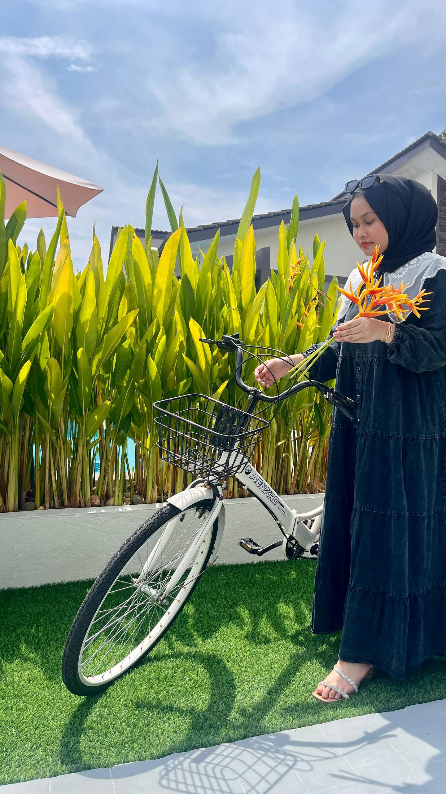 bicycle (5)